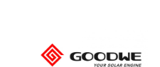 GoodWe